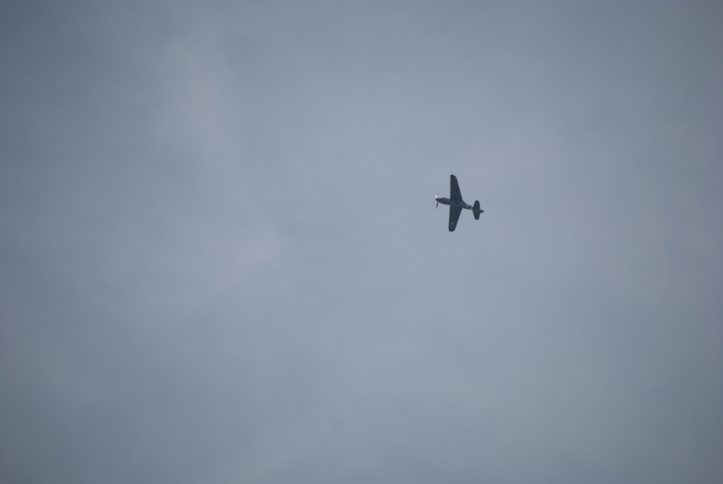 DSC_3576.jpg